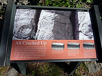 Devil tower (48).JPG